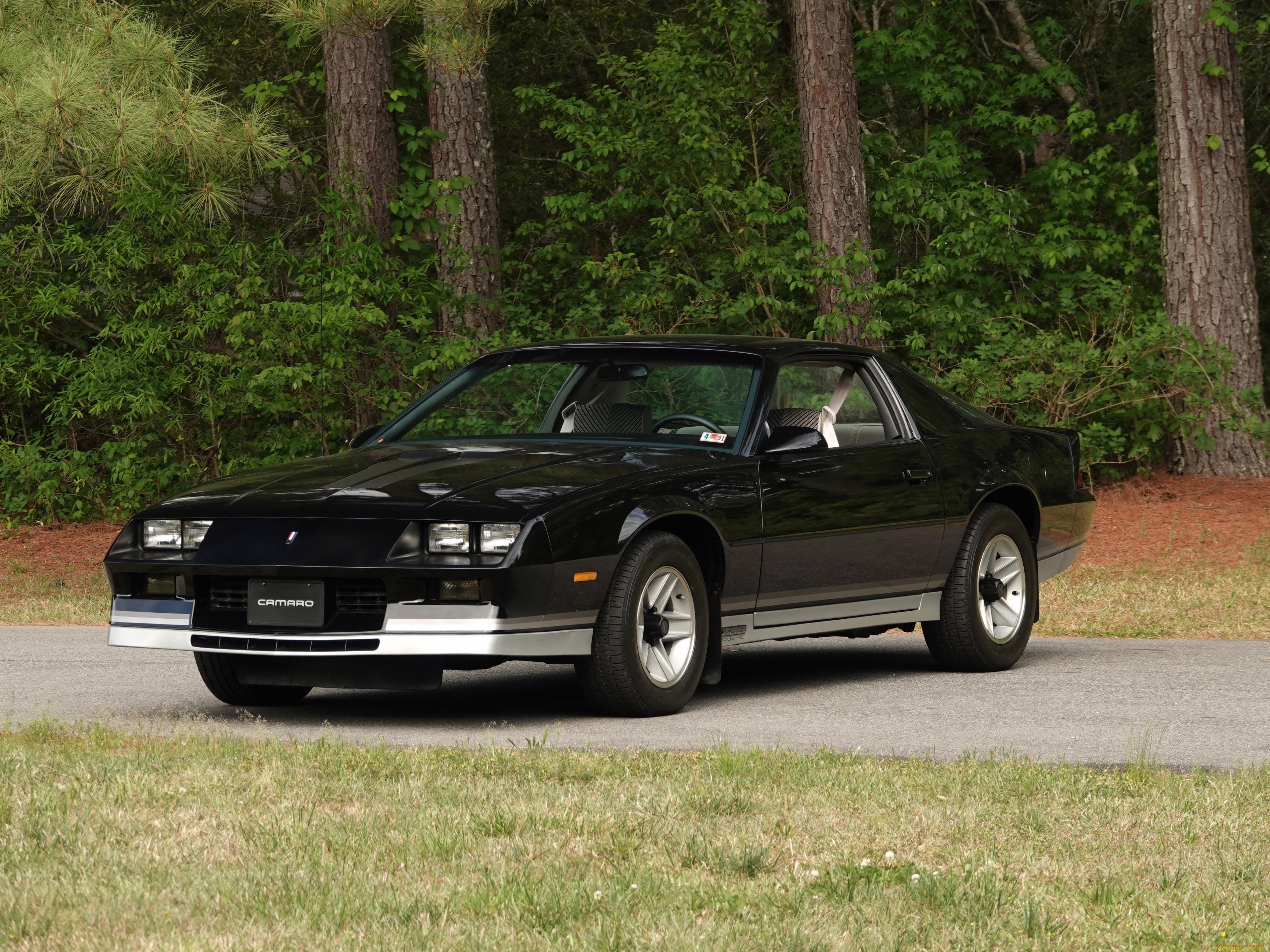 , camaro